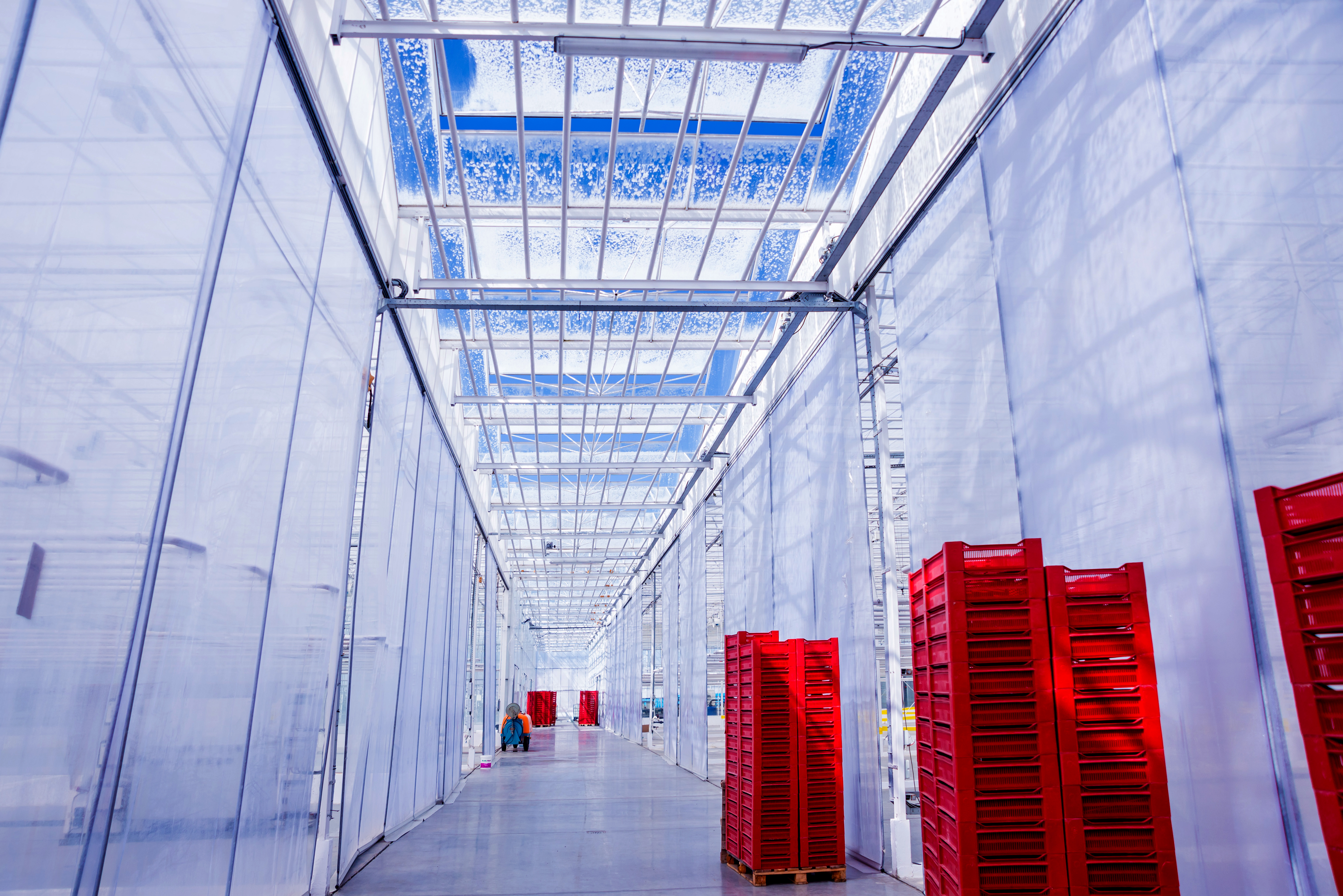 the-frame-of-a-modern-greenhouse-against-the-sky-2026-01-11-09-28-49-utc